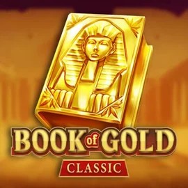 game logo by Playson on slotoroo.org