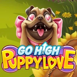 Go High Puppy Love online slot from RubyPlay – play at slotoroo.org
