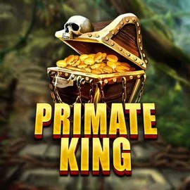Play the Primate King slot by Red Tiger Gaming on Slotoro Casino